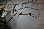 DSC_9202.JPG